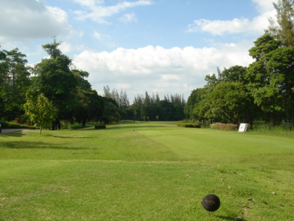 d8c9a17a1e60de5890da081b6b6af629_1778731376_2451.jpg
