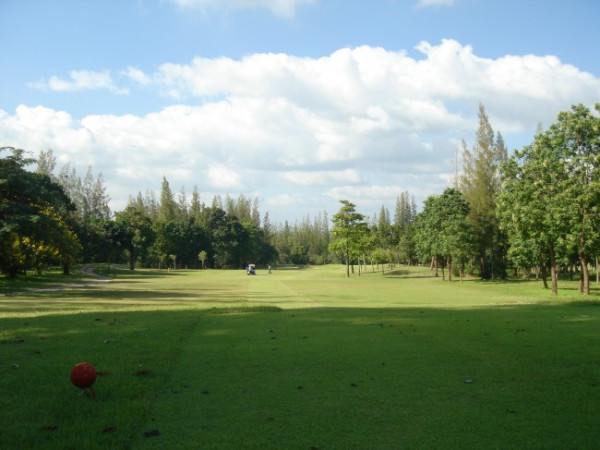 d8c9a17a1e60de5890da081b6b6af629_1778731376_7458.jpg