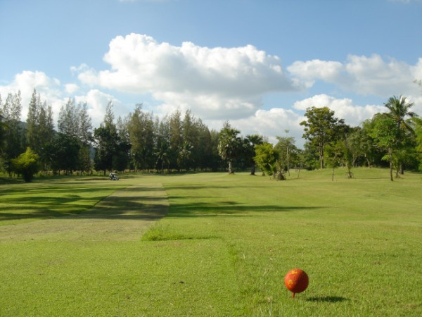 d8c9a17a1e60de5890da081b6b6af629_1778731480_2464.jpg