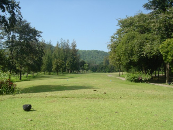 d8c9a17a1e60de5890da081b6b6af629_1778731590_7446.jpg