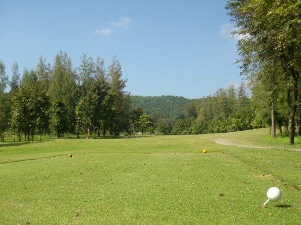 d8c9a17a1e60de5890da081b6b6af629_1778731591_2468.jpg